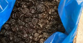 Sprzedam śliwkę suszoną Ashlock 90/100 Kraj pochodzenia: Chile Rok
