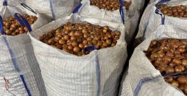 Osztrák vállalatként egész évben árusítunk saját termelésű, kiváló minőségű