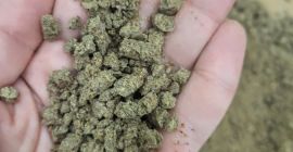 Vendo sansa di semi di lino di alta qualità,