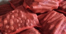 Buongiorno, vendo carote in busta, 10 PLN a busta,