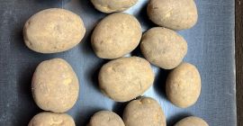 I have 10 varieties of edible and French fries