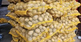 Soraya edible potatoes. Carrots, Parsley, Beetroots. Soraya edible potatoes