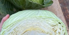 We can arrange shipment if needed. Free deliver in