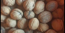 Sprzedam orzechy włoskie całe, kraj pochodzenia Polska (Lubelszczyzna). Orzechy