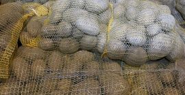 Am de vânzare 24 de tone de cartofi de