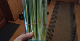 Bună ziua, vând arpagic la legături și la greutate.