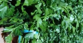 Свежая партия петрушки из Узбекистана. Товар можно увидеть в