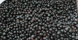 Замороженная методом IQF клубника и черника. Страна происхождения: Беларусь.