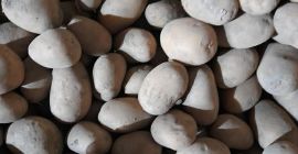 Продајем јестиви кромпир, као на слици. Сорта је Овацја.