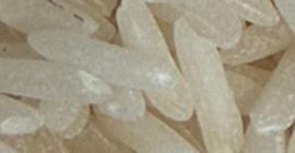 Langkornreis. Herkunft: Suriname (Karibik). Dieser hochwertige Reis ist besonders