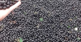 ДОБРОДОШЛИ ДА ПРОДАЈА ТРОШКОВИ САДРЖАЈА ОД КОЛЕКЦИЈЕ 2018. Број