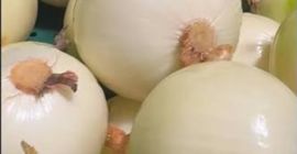 Продавам обелен лук. Търся да установя сътрудничество с купувачи.