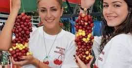 Продавам пресни Череши от ранни средно ранни и късни