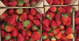 Die Wartezeit für das Produkt beträgt 4 Tage ab