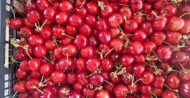 В FIA GOGOT FRUIT ЩЕ НАМЕРИТЕ НАЙ-ПРЕСНИТЕ СЕЗОННИ ПЛОДОВЕ,