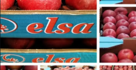 Fructe produse și ambalate în Spania, cu un decalaj