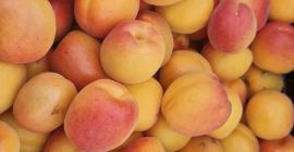 VA ASTEPTAM SI LA CAISELE AROMATE SI PROASPATE IN