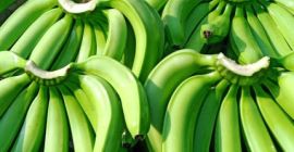 Banane Cavendish Calitate: A și B Diametru: 3–4 cm