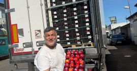 Зоолошки врт УЛЕНОКС ПОЉСКА нуди ТУРСКУ НЕКТАРИНКУ КАТОВИЦЕ ФЕЛИКС