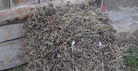 Hello, I sell dried oregano whole and pressed into