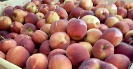 Искам да продам червена чанта Jonaprince, размер предимно 70+,