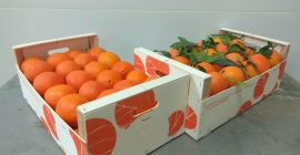 I will sell extra-class oranges, Portugal&#39;s country of origin,