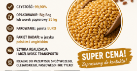 Braune und goldene Leinsamen, Menge: 100-1000 t