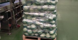 Harvest 2025. Peeled, packed in 15 kg bags.