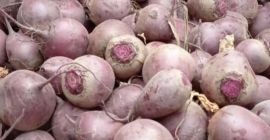 I'm selling young, cut beetroot and beet greens -