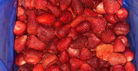 Az Ezar Frozen Foods Europe (az Ezar Frozen Foods