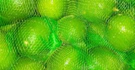 fără semințe Limonka din Egipt, de înaltă calitate