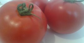 Vendo pomodori da campo: rotondi e oblunghi, il prezzo