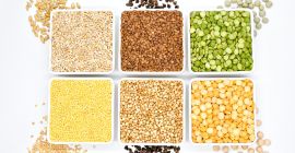 OUR OWN PRODUCTION – KAMPOL RUSIEC We offer high-quality