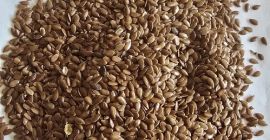 I have brown flax to offer, originating from Kazakhstan,