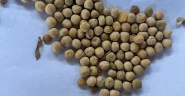 I have for sale 150 t of yellow peas,