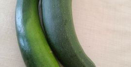 I'm selling organic zucchini from a farm garden, 100
