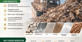 Unlock Premium Phosphate Supply from Morocco We are pleased