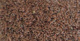 Az Agrotime Kft. várhatóan körülbelül 600 tonna olajlenmagot (lenmagot)