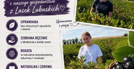 Chokeberries are available for collection immediately after harvesting approximately