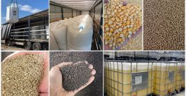 PRODOTTI AGRICOLI DALL’UCRAINA – COLLABORAZIONE CONTINUATIVA Cerchiamo importatori e
