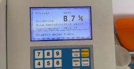 Sorg alb productie 2026 , curat , uscat ,