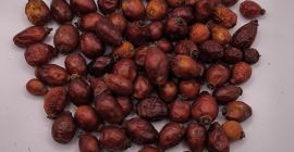 Offriamo cinorrodi in diverse forme: interi, gusci con semi