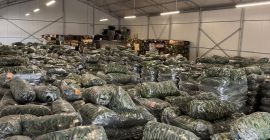 Fresh Romanian Greenhouse Cucumbers – Wholesale / Large Volumes