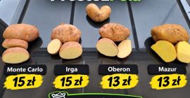 Hello, I'm selling Irga potatoes, 4cm and up. 15kg