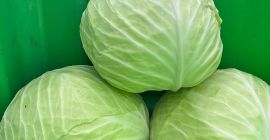 Продајем купус за сечење и салате сорте Новотн.