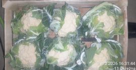 We offer cauliflowers packed in crates of either 6
