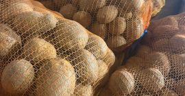 **POTATOES FOR SALE – BELLAROSA & CARRERA** High-quality table