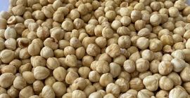 Nocciole turche di prima qualità, sbucciate e completamente debucciate.