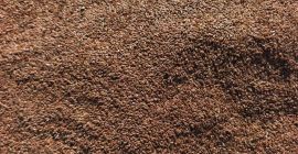 I'm selling brown flaxseed, radish, vetch, and coriander, 97%