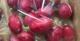 I'm selling loose radishes, packed in 15 kg crates.